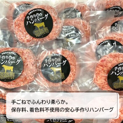 【数量限定】淡路島手作りハンバーグ 15個【2027年1月より順次発送】　an07873