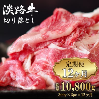 【定期便12ヶ月】淡路牛 切り落とし 900g (300g×3パック)　ao05133