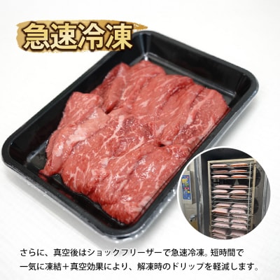 淡路牛 赤身焼肉用カット 500g(250g×2パック)　ao05148