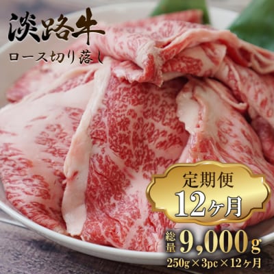 【定期便12ヶ月】 淡路牛 ロース切り落とし 750g (250g×3パック)　ao05156
