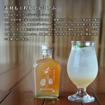 淡路島オリジナルシロップ詰め合わせ(いちじく・プレミアムジンジャー各1本)　aa51002