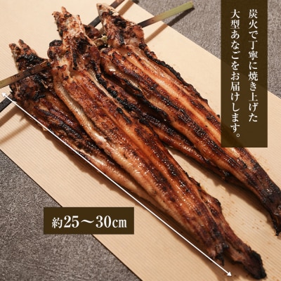 炭焼きあなご 大型4匹 たれ付き 冷凍　aa54005