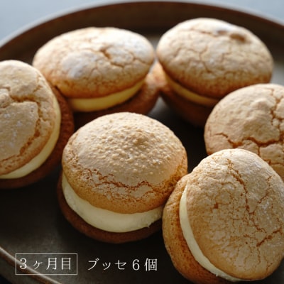 【定期便3ヶ月】弁天堂 スイーツ定期便(クッキーシュークリーム・エクレア・ブッセ)　ab08060