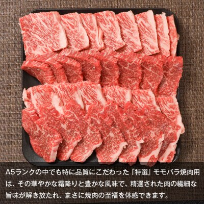 【A5ランク限定】淡路島産黒毛和牛 『特選』モモバラ焼肉用 1kg(500g×2P)　aa16086