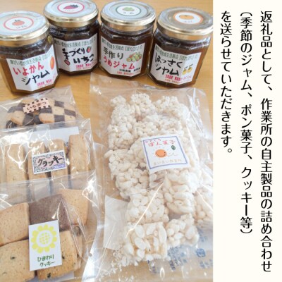 買い物かばんの貸し出しプロジェクト(作業所の返礼品詰め合わせ)　aa21004