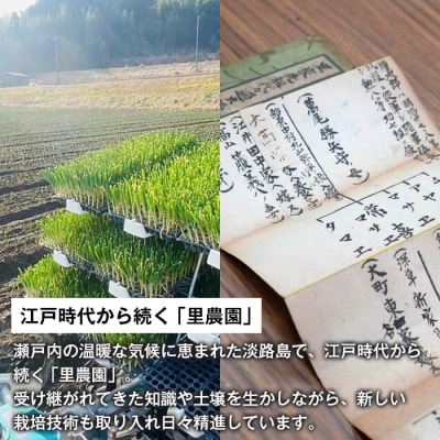 淡路島たまねぎ(5キロ)　aa28010