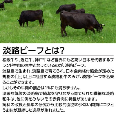 淡路ビーフステーキ400g(200g×2枚)【お届け日指定返礼品】　aa16050