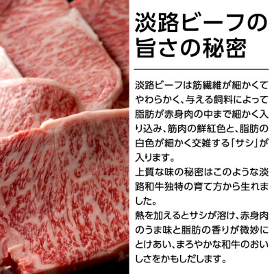 特選淡路ビーフステーキ600g(200g×3枚)【お届け日指定返礼品】　aa16051