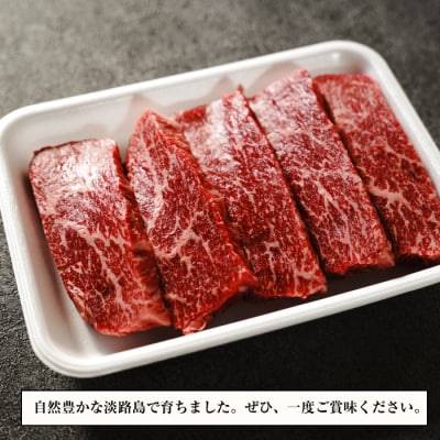 淡路牛 赤身ステーキ 500g(100g×5枚) 【3D急速冷凍】　aa16069