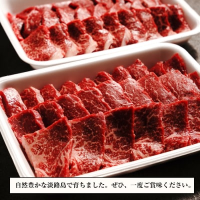淡路牛 赤身焼肉セット 1kg(500g×2P) 【3D急速冷凍】　aa16070