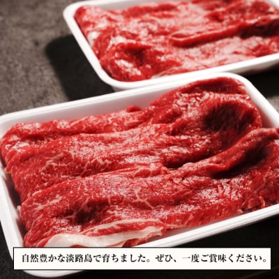 淡路牛 すき焼き用赤身肉 800g(400g×2P) 【3D急速冷凍】　aa16071