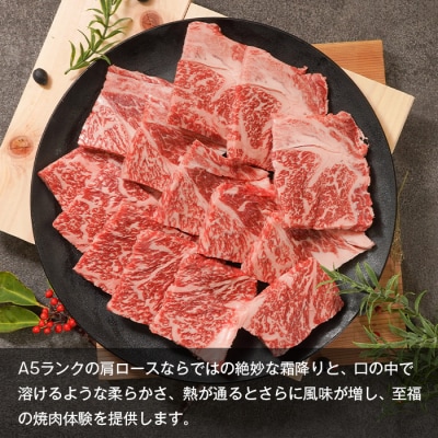 【A5ランク限定】淡路島産黒毛和牛 焼肉用肩ロース 500g　aa16083