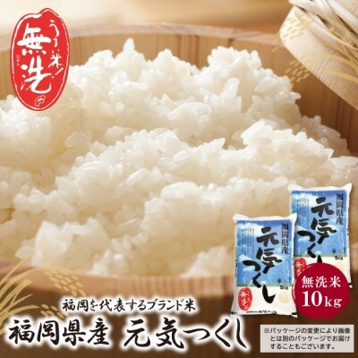 令和7年産 無洗米 元気つくし10kg