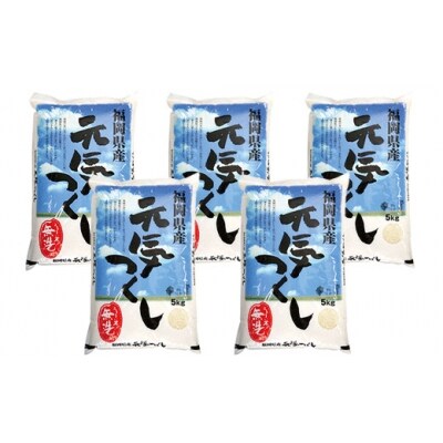 令和7年産 無洗米 元気つくし25kg