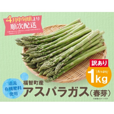 【訳あり】清流・有機肥料使用 アスパラガス(春芽) 1kg