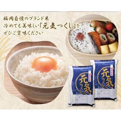 令和7年産 研ぐお米 元気つくし10kg