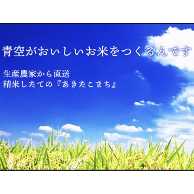 【令和8年産】秋田県産　稲穂の力　特別栽培米あきたこまち 　白米5kg×1袋　精米