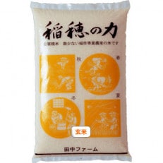 【令和5年産】秋田県産 稲穂の力 特別栽培米あきたこまち 【玄米】5kg&times;1袋