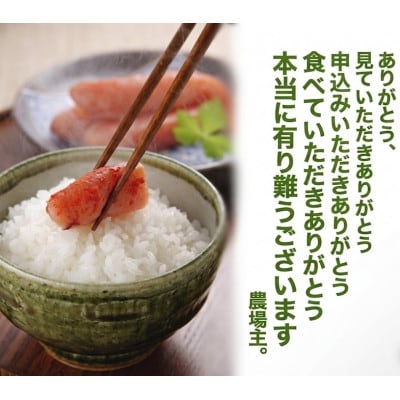【さとふる限定】【令和8年産】あきたこまち 『栽培期間中農薬・化学肥料不使用』　玄米5kg×1袋