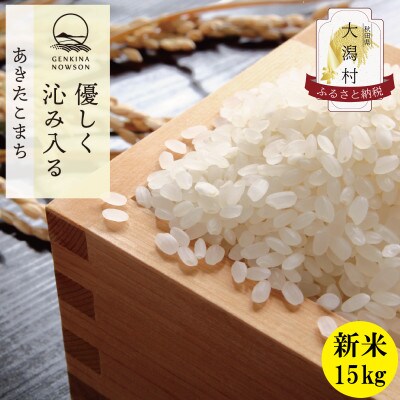 【令和6年産】秋田県産 あきたこまち 胚芽米 15kg(5kg×3袋)