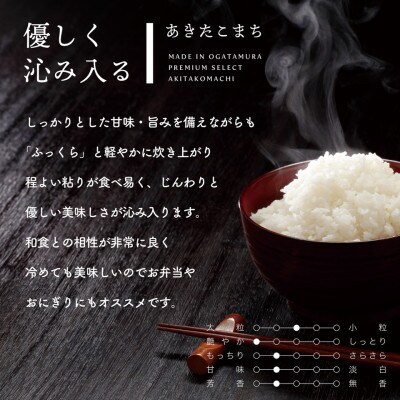 【令和6年産】秋田県産 あきたこまち 胚芽米 15kg(5kg×3袋)