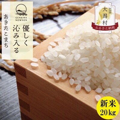 令和6年産】秋田県産 あきたこまち 白米 20kg(5kg×4袋) | 秋田県 令和6年産】秋田県産 あきたこまち 白米 20kg(5kg×4袋) | 秋田県