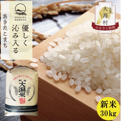 高価値セリー Ⅳ新米 低温低温冷蔵庫保管 あきたこまち 秋田県産 令和6年度産 米・雑穀・粉類