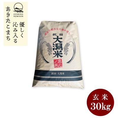 予約受付開始!秋田県産　あきたこまち30kg　1等　玄米【令和7年産】《11月初旬より発送》 | ふるさと納税のお礼品