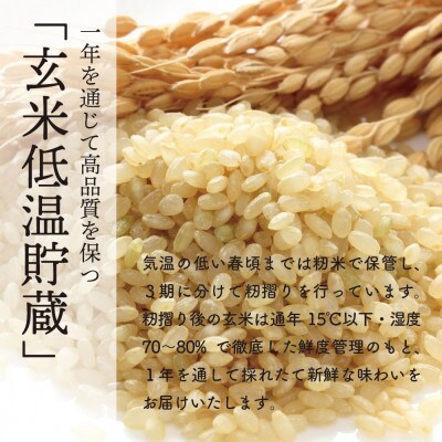 令和6年産秋田県特別栽培米ミルキープリンセス無洗米20kg(5kg×4袋)