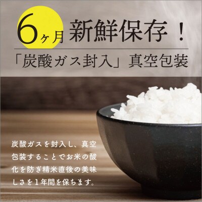 令和6年産秋田県特別栽培米ミルキープリンセス無洗米 精米1.2kg(150g×8袋)