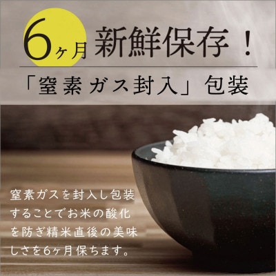 秋田県産 予約受付開始!あきたこまち【令和7年産】無洗米小袋50袋セット　150g×50袋