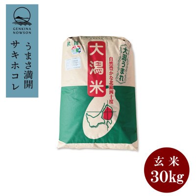 【毎月定期便】秋田県産　サキホコレ　1等　玄米30kg全3回