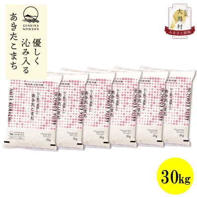 【毎月定期便】秋田県産あきたこまち白米30kg(5kg×6)全12回
