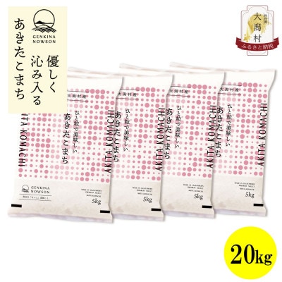 【毎月定期便】秋田県産あきたこまち無洗米20kg(5kg×4)全12回