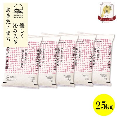 【毎月定期便】秋田県産あきたこまち無洗米25kg(5kg×5)全12回