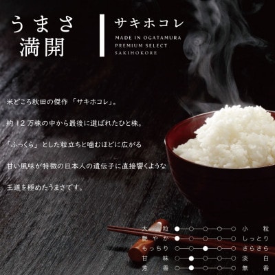 【毎月定期便】サキホコレ 無洗米 1合(150g)×8個全12回