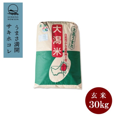 yցzTLzR30kg@1@đS12