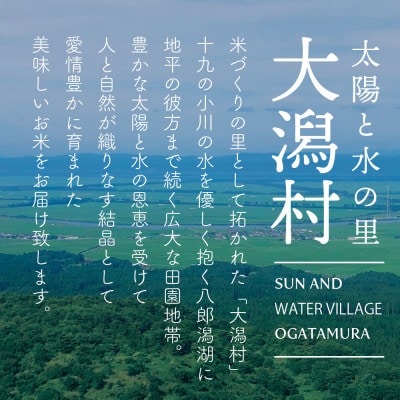 【毎月定期便】秋田県産　あきたこまち1等　玄米30kg全6回