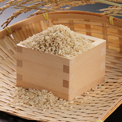 あきたこまち　やわらか有機玄米1kg×3
