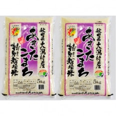 先行受付【令和4年産】大潟村産あきたこまち特別栽培米10kg(5kg&times;2) 大潟村CE公社 