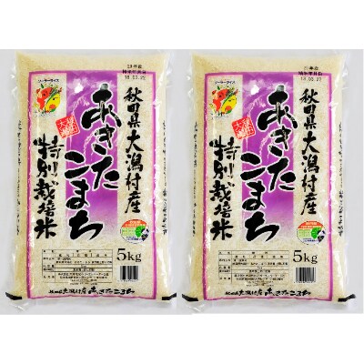 先行受付【令和4年産】大潟村産あきたこまち特別栽培米10kg(5kg×2) 大潟村CE公社　