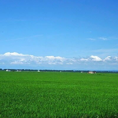 先行受付【令和4年産】大潟村産あきたこまち特別栽培米10kg(5kg×2) 大潟村CE公社　