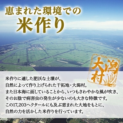 サキホコレ特別栽培米使用 パックライス180g3個パック×8袋セット