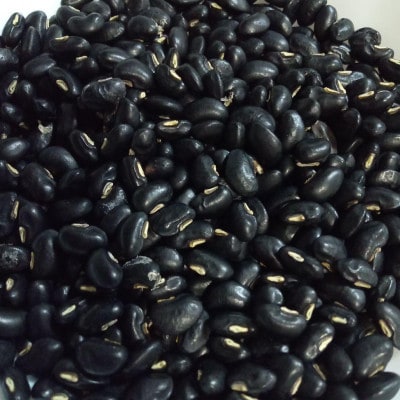 大潟村産のもち米と天甲(てんこう)小豆で作る!赤飯セット