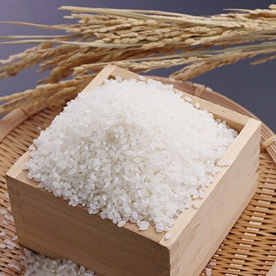 【限定100袋!】サキホコレ特別栽培精米5kg