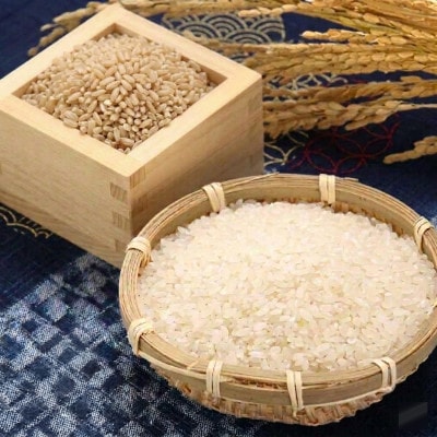 大潟村産あきたこまち玄米3種詰め合わせ