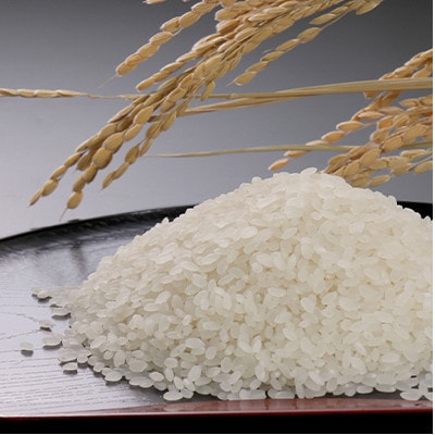 大潟村産あきたこまち・サキホコレ2kg3種お試しセット