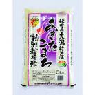 【毎月定期便】あきたこまち特別栽培精米5kg全12回