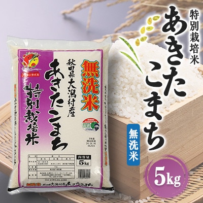 【毎月定期便】あきたこまち特別栽培無洗精米5kg全2回