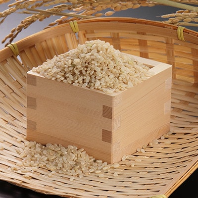 【毎月定期便】あきたこまち慣行栽培精玄米5kg全3回